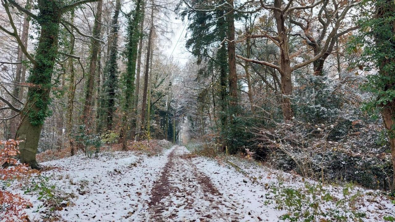 The Beehive - Self Catering In The Heart Of The Forest Of Dean Whitecroft Bagian luar foto