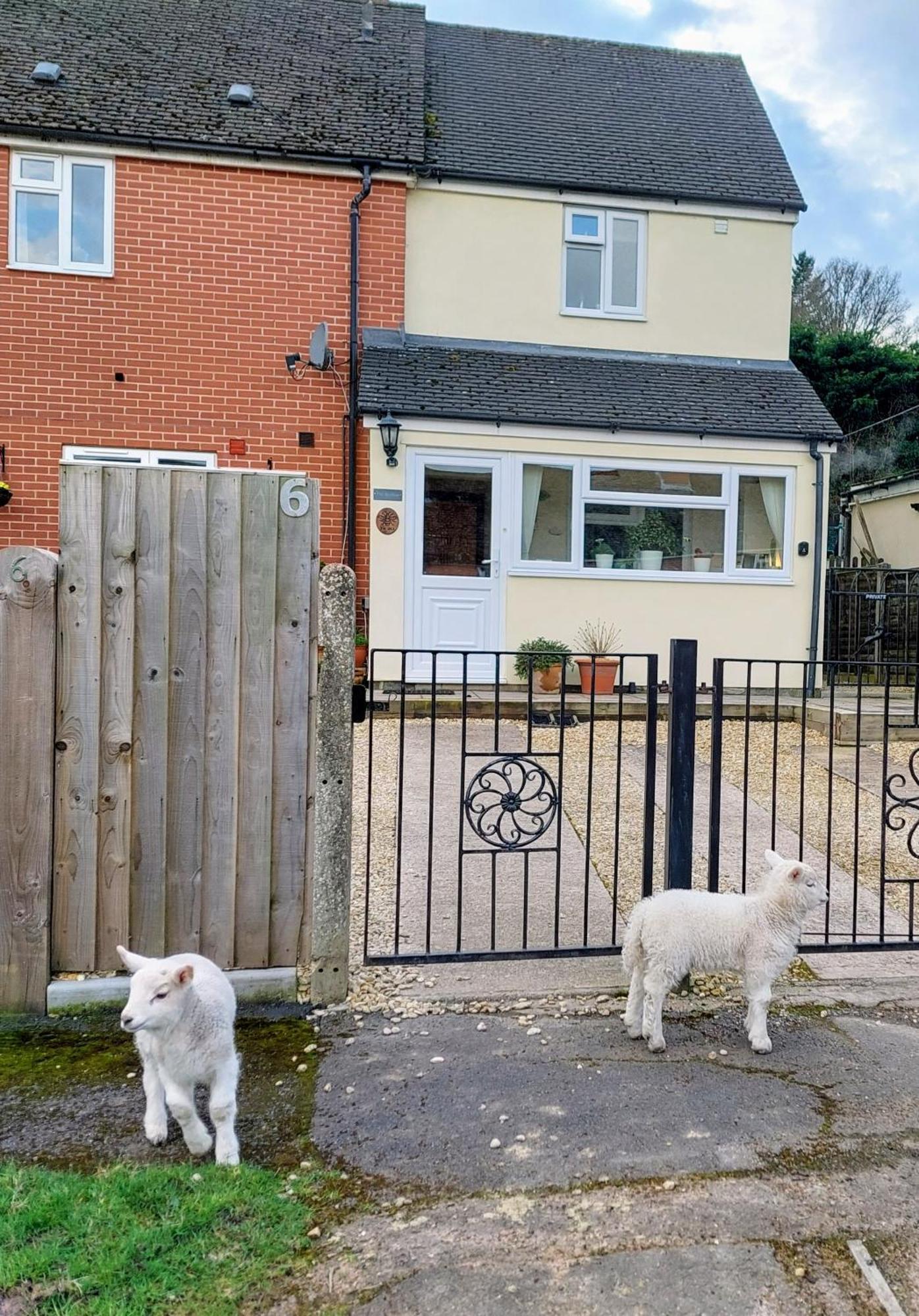 The Beehive - Self Catering In The Heart Of The Forest Of Dean Whitecroft Bagian luar foto